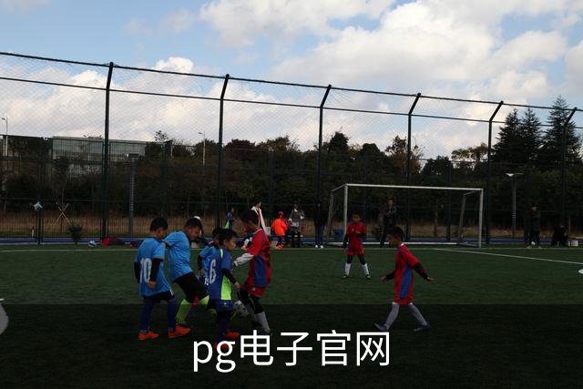 pg电子官网公司介绍